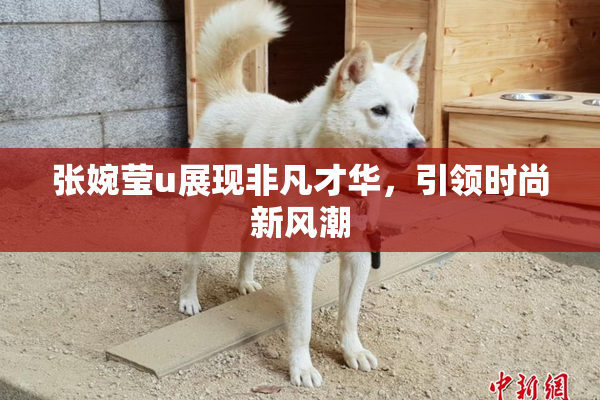 张婉莹u展现非凡才华，引领时尚新风潮
