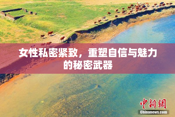 女性私密紧致，重塑自信与魅力的秘密武器