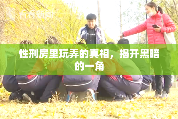性刑房里玩弄的真相，揭开黑暗的一角