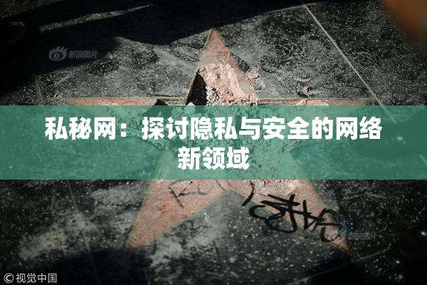 私秘网：探讨隐私与安全的网络新领域