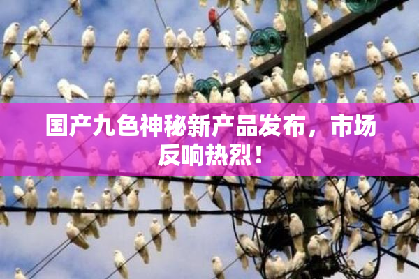 国产九色神秘新产品发布，市场反响热烈！