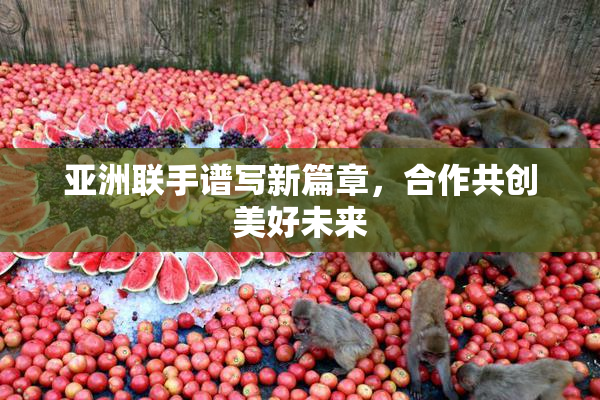 亚洲联手谱写新篇章，合作共创美好未来