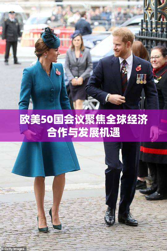 欧美50国会议聚焦全球经济合作与发展机遇