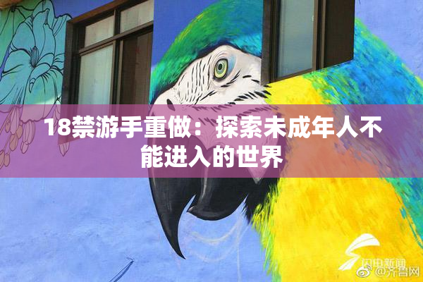 18禁游手重做：探索未成年人不能进入的世界