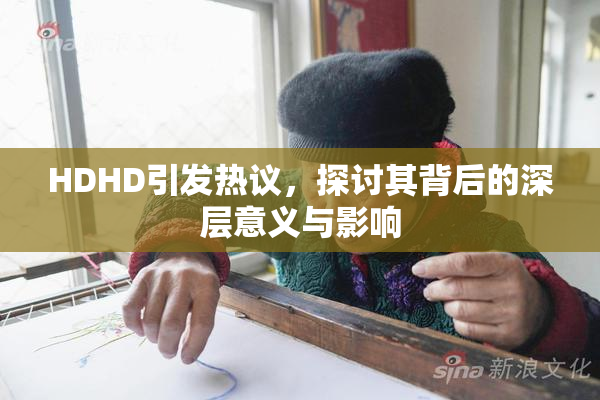 HDHD引发热议，探讨其背后的深层意义与影响