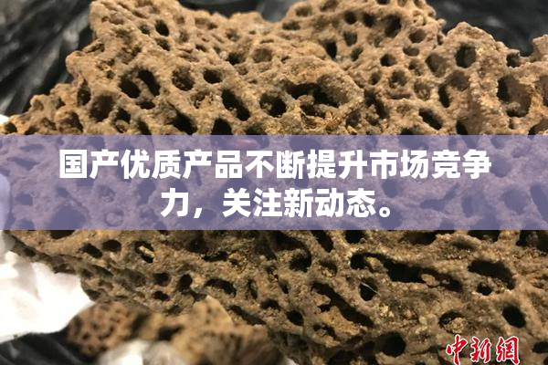 国产优质产品不断提升市场竞争力，关注新动态。