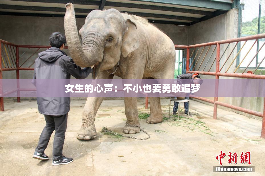 女生的心声：不小也要勇敢追梦
