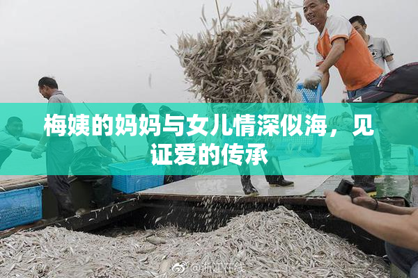 梅姨的妈妈与女儿情深似海，见证爱的传承