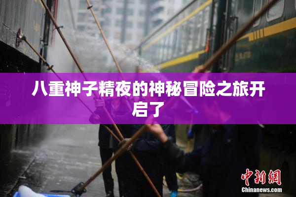 八重神子精夜的神秘冒险之旅开启了