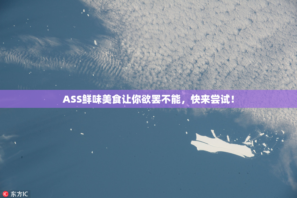 ASS鲜味美食让你欲罢不能，快来尝试！