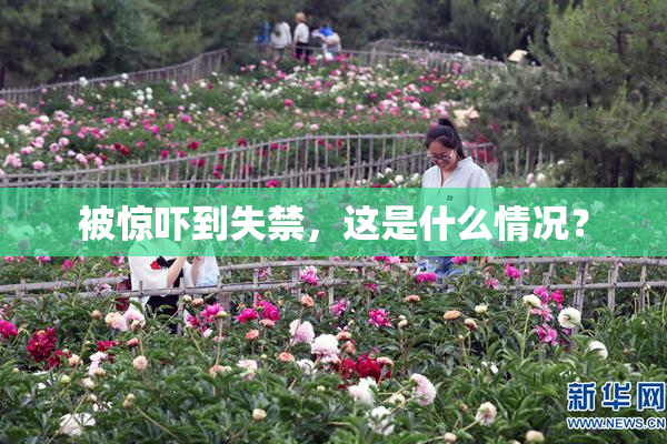 被惊吓到失禁，这是什么情况？