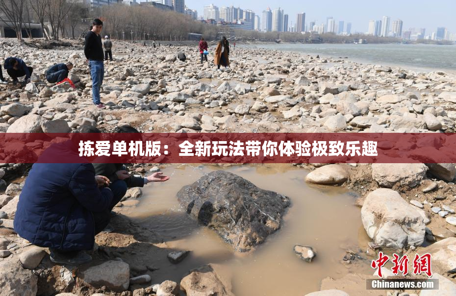 拣爱单机版：全新玩法带你体验极致乐趣