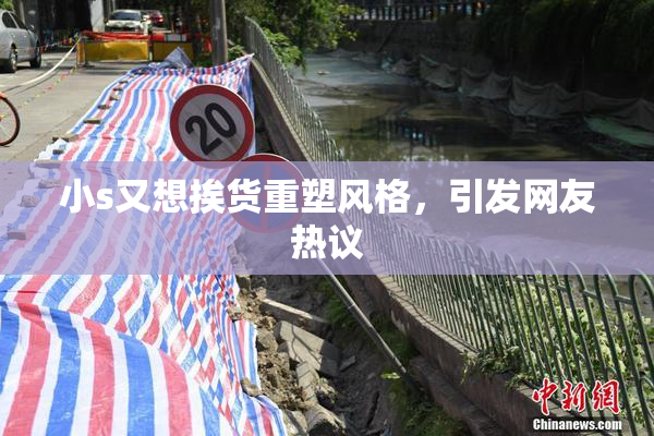 小s又想挨货重塑风格，引发网友热议
