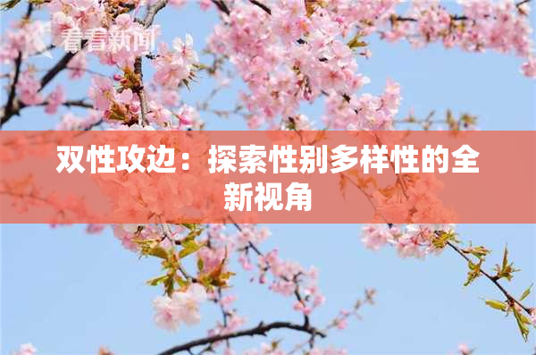 双性攻边：探索性别多样性的全新视角