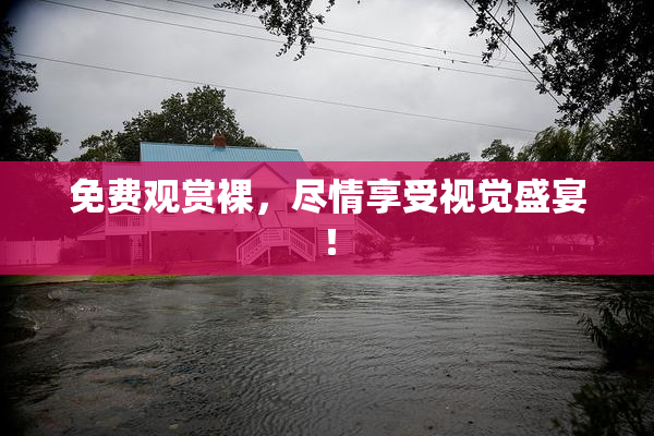 免费观赏裸，尽情享受视觉盛宴！
