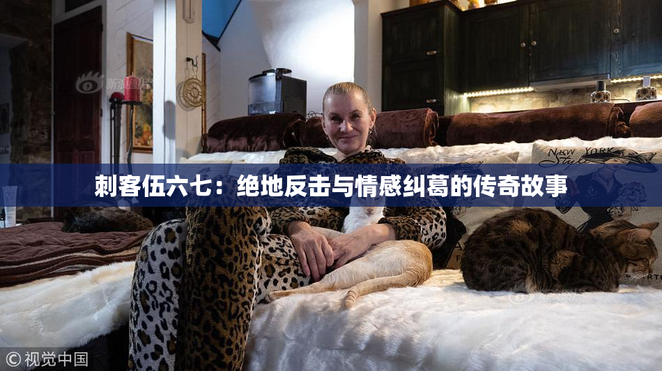 刺客伍六七：绝地反击与情感纠葛的传奇故事