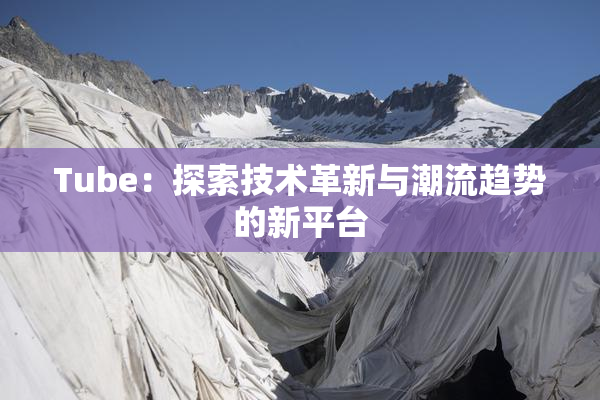 Tube：探索技术革新与潮流趋势的新平台