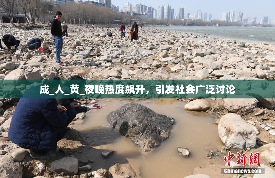 成_人_黄_夜晚热度飙升，引发社会广泛讨论