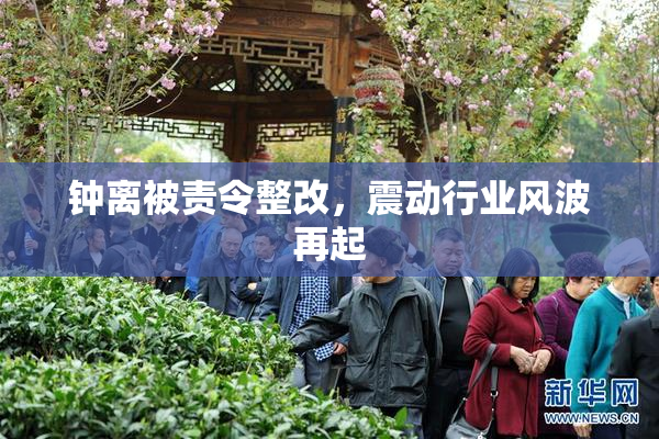 钟离被责令整改，震动行业风波再起