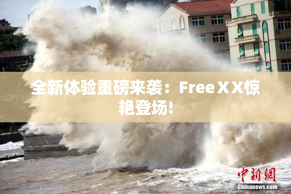 全新体验重磅来袭：FreeⅩX惊艳登场!