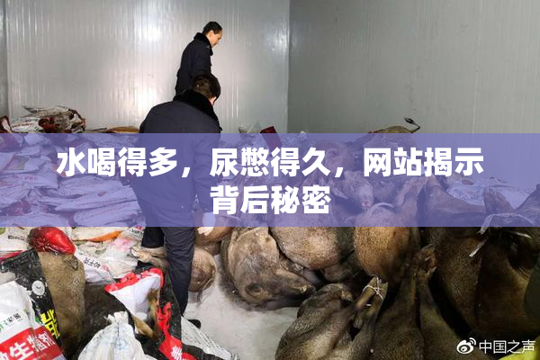 水喝得多，尿憋得久，网站揭示背后秘密