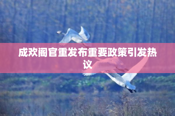 成欢阁官重发布重要政策引发热议