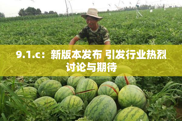9.1.c：新版本发布 引发行业热烈讨论与期待