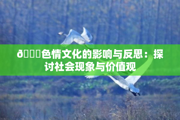 🔞色情文化的影响与反思：探讨社会现象与价值观