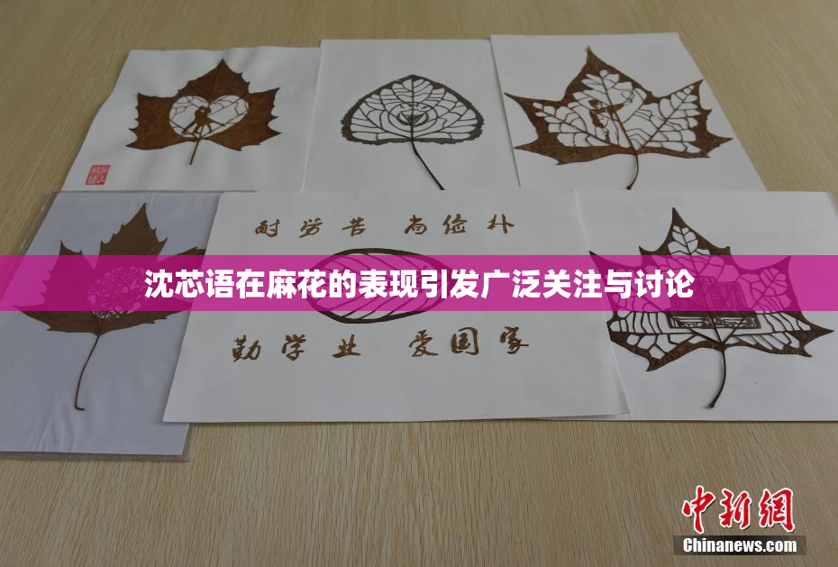 沈芯语在麻花的表现引发广泛关注与讨论