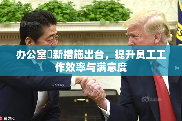 办公室強新措施出台，提升员工工作效率与满意度