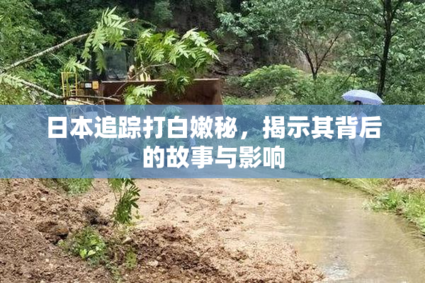 日本追踪打白嫩秘，揭示其背后的故事与影响
