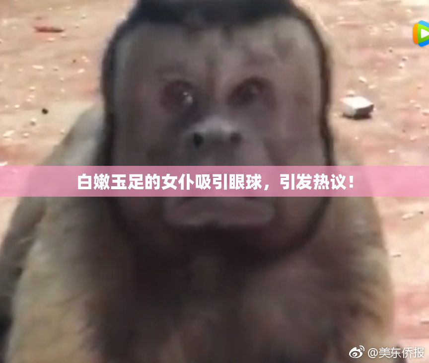 白嫩玉足的女仆吸引眼球，引发热议！
