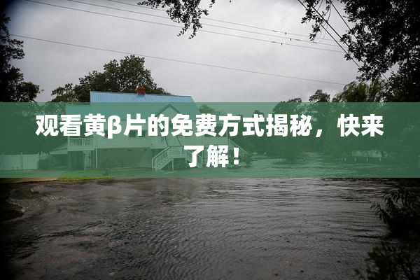 观看黄β片的免费方式揭秘，快来了解！