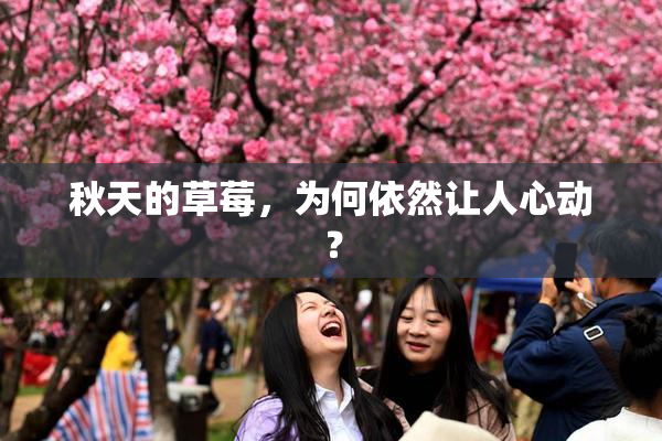 秋天的草莓，为何依然让人心动？