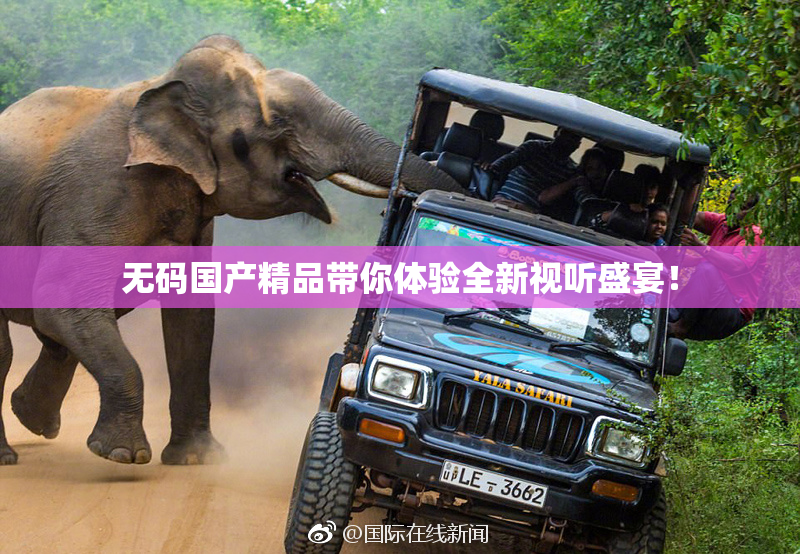 无码国产精品带你体验全新视听盛宴！