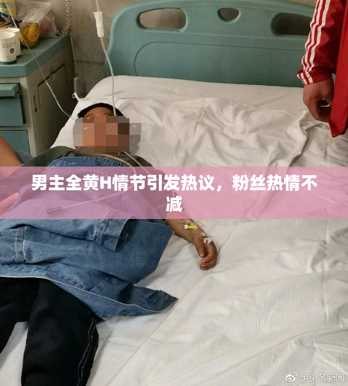 男主全黄H情节引发热议，粉丝热情不减