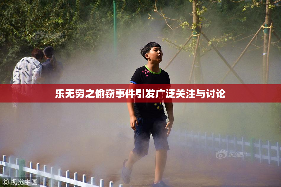 乐无穷之偷窃事件引发广泛关注与讨论