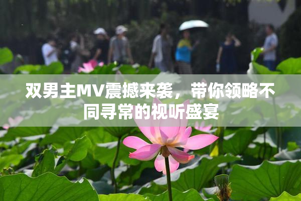 双男主MV震撼来袭，带你领略不同寻常的视听盛宴