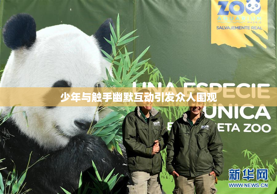 少年与触手幽默互动引发众人围观
