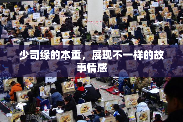 少司缘的本重，展现不一样的故事情感