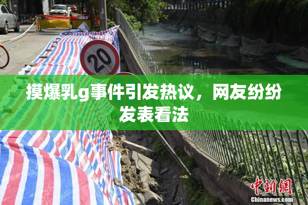 摸爆乳g事件引发热议，网友纷纷发表看法