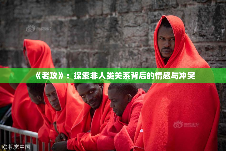 《老攻》：探索非人类关系背后的情感与冲突