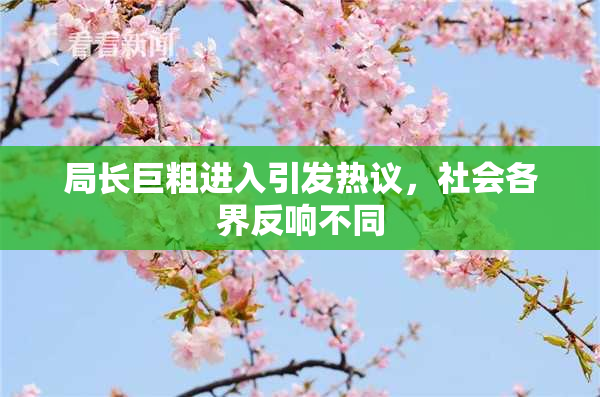 局长巨粗进入引发热议，社会各界反响不同