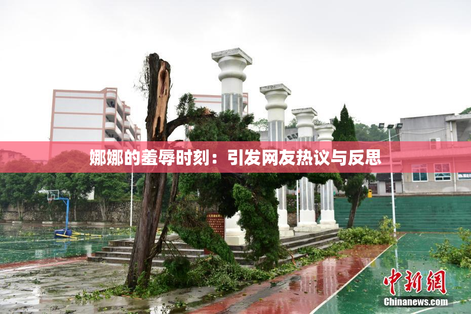 娜娜的羞辱时刻：引发网友热议与反思