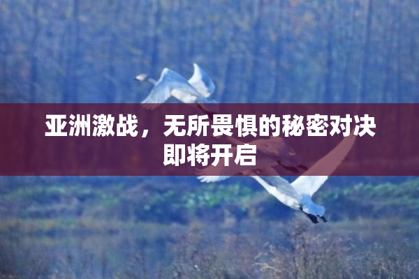 亚洲激战，无所畏惧的秘密对决即将开启
