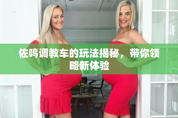 佐鸣调教车的玩法揭秘，带你领略新体验