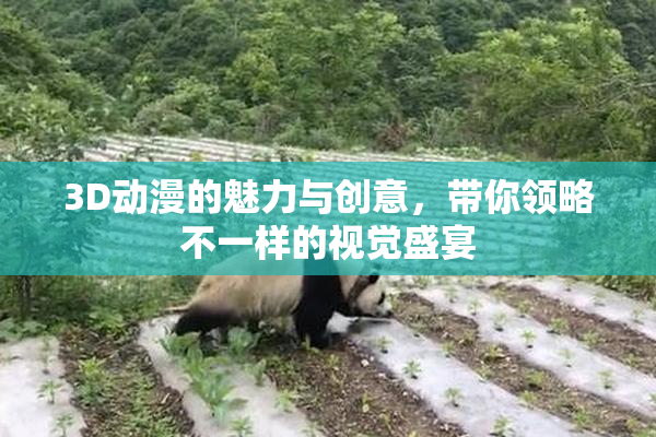 3D动漫的魅力与创意，带你领略不一样的视觉盛宴