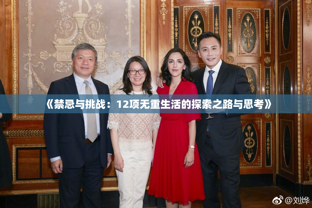 《禁忌与挑战：12项无重生活的探索之路与思考》