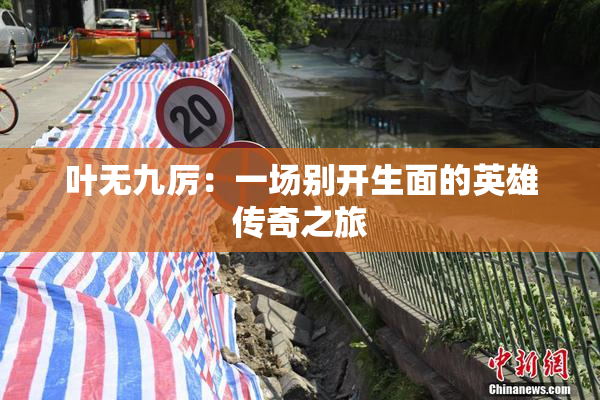 叶无九厉：一场别开生面的英雄传奇之旅