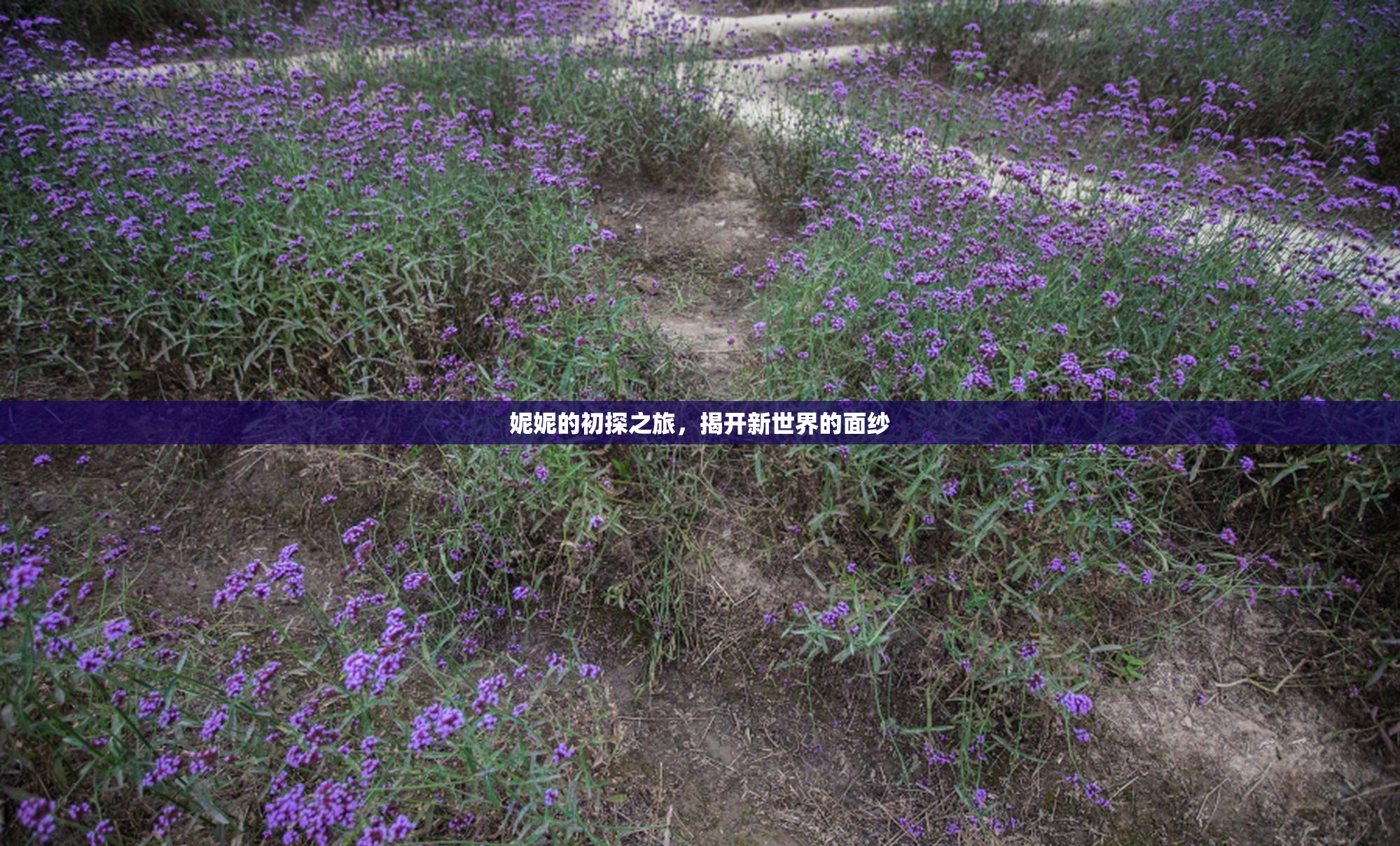 妮妮的初探之旅，揭开新世界的面纱